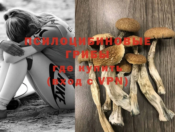 не бодяженный Баксан