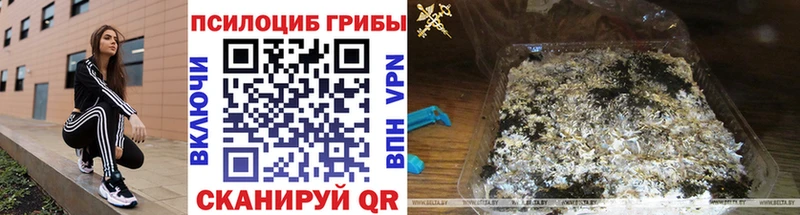 Купить где Среднеколымск Галлюциногенные грибы Psilocybine cubensis